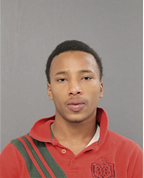 TYRESE K LEWIS, Cook County, Illinois