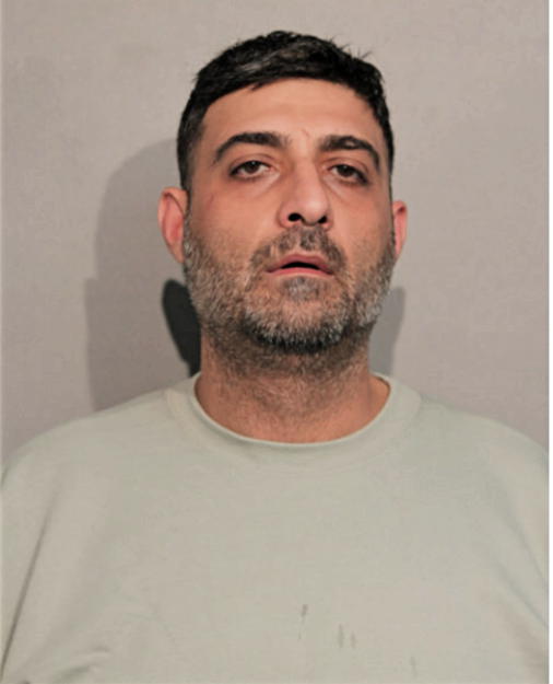 ALLEN S MIKHAIL, Cook County, Illinois