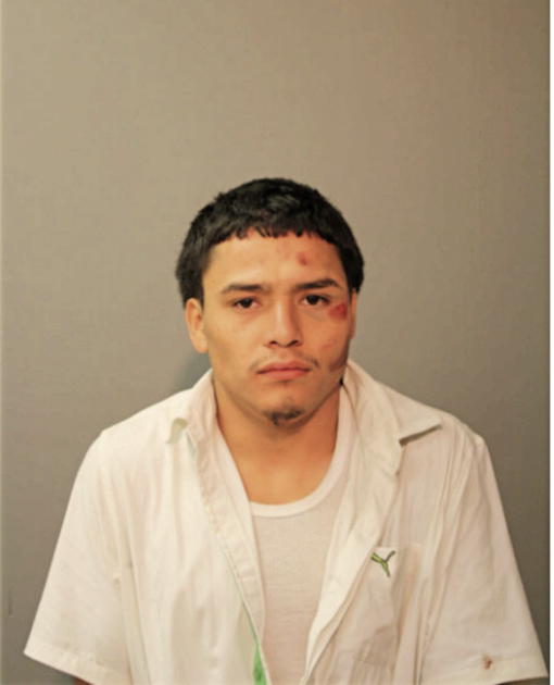 MARIO MORA, Cook County, Illinois