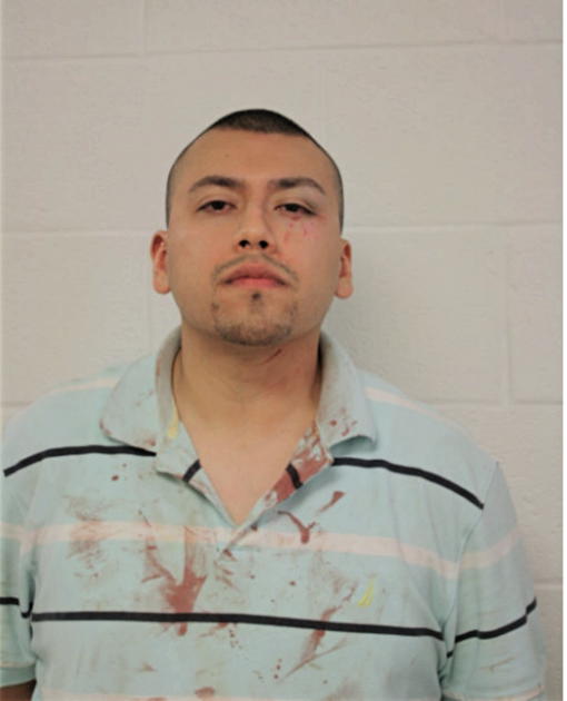ADRIAN OCAMPO, Cook County, Illinois
