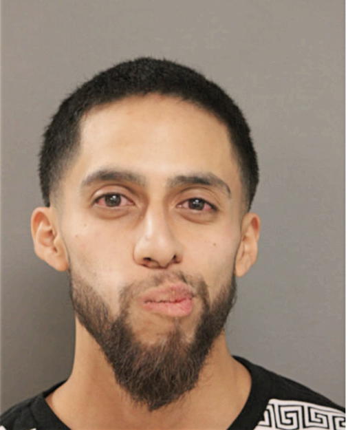 JOHNNY A REYES, Cook County, Illinois