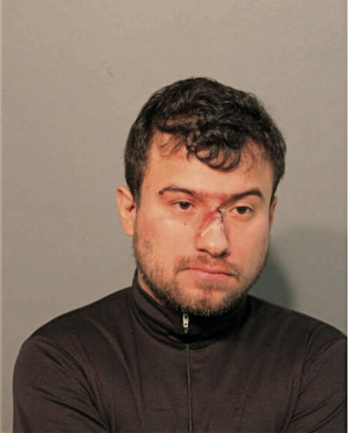 RODOLFO RODAS, Cook County, Illinois