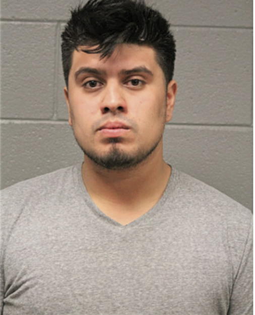 EDGAR ROMAN, Cook County, Illinois