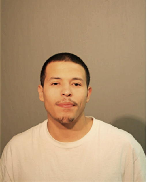 MIGUEL ANGEL ROMAN, Cook County, Illinois