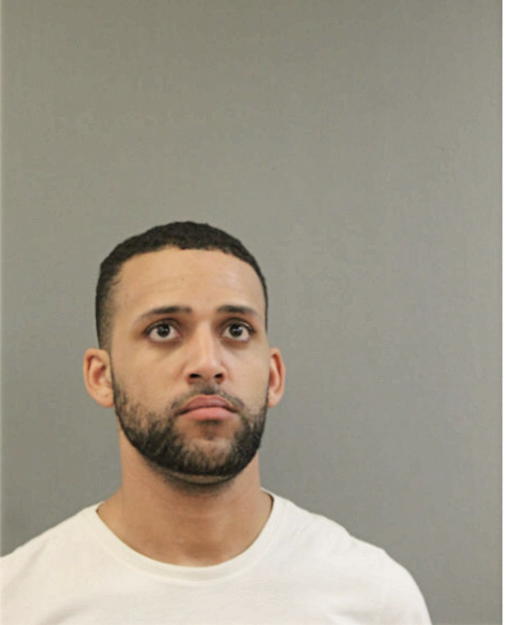 TAVIO ROSSI, Cook County, Illinois