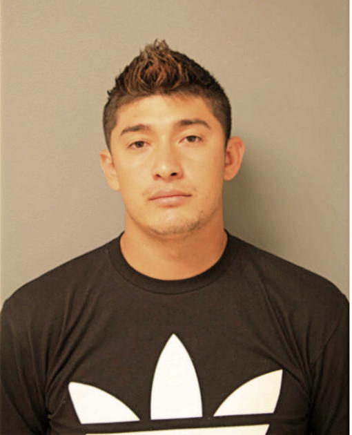 JUAN B SUAREZ, Cook County, Illinois