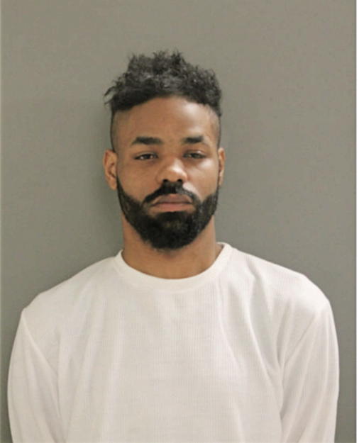 CHARLES W WILLIAMS, Cook County, Illinois