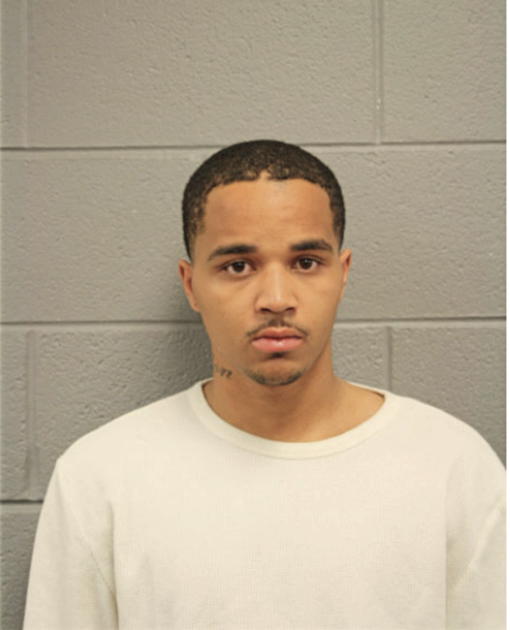 TERRELL D WYATT, Cook County, Illinois