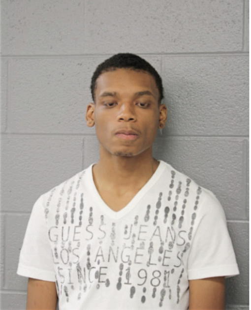 LARRY C YOUNG, Cook County, Illinois