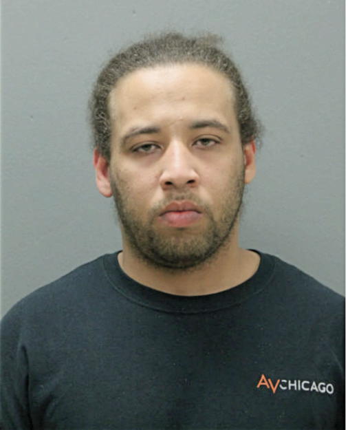 KENNETH S ANDERSON, Cook County, Illinois