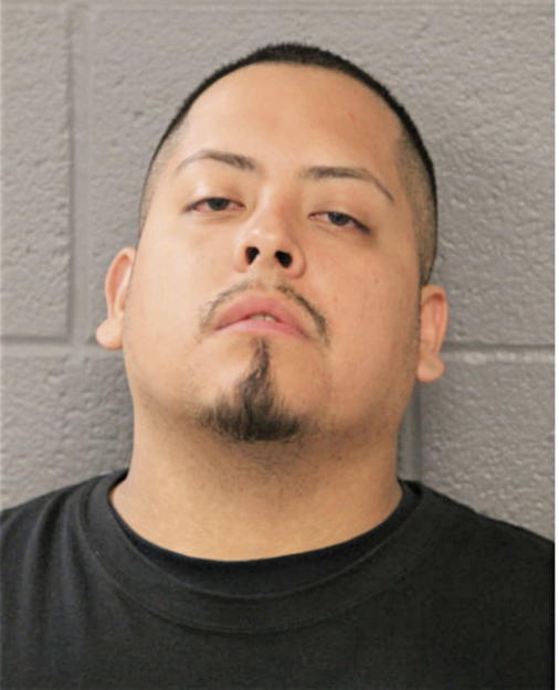 ROBERT S BRAULIO, Cook County, Illinois