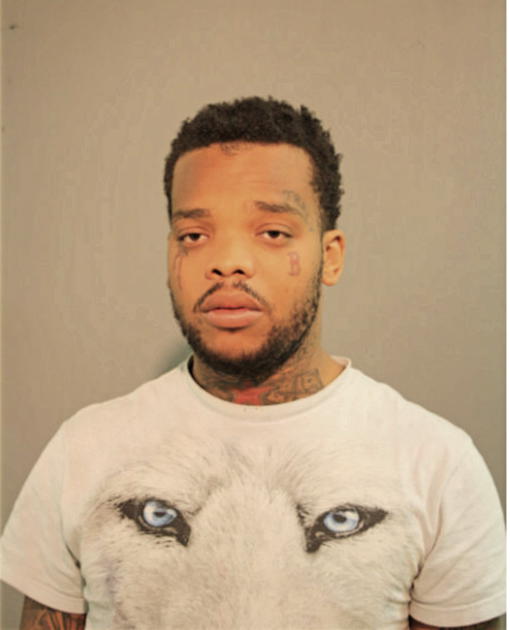 STEVEN A BROWN, Cook County, Illinois