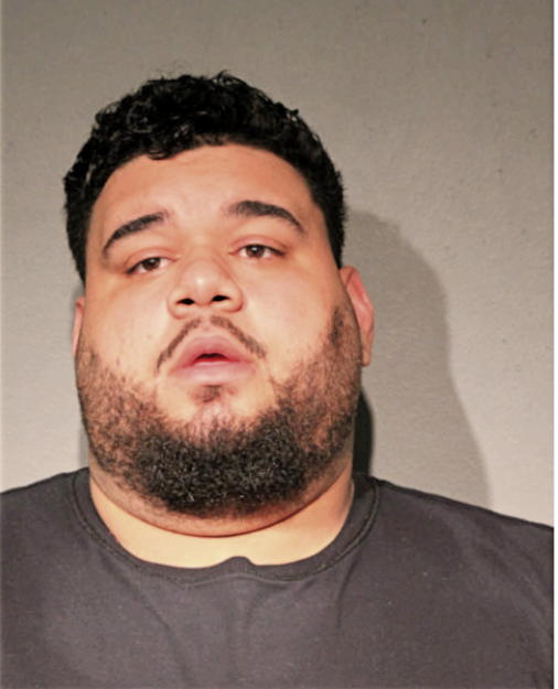 JEREMIAH S DIECKMANN, Cook County, Illinois