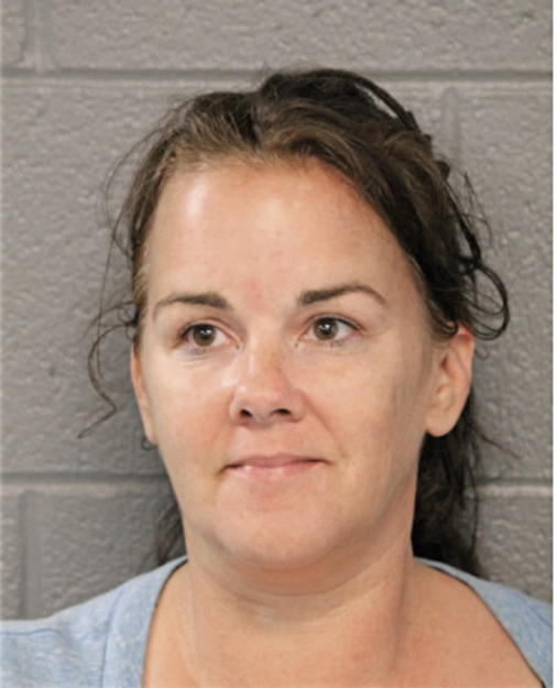 CHRISTINE A DIVER, Cook County, Illinois