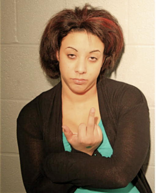 LEEANN C EMBS, Cook County, Illinois