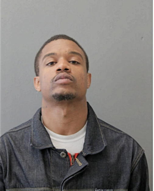 BRIAN MCKINLEY FLEMING, Cook County, Illinois