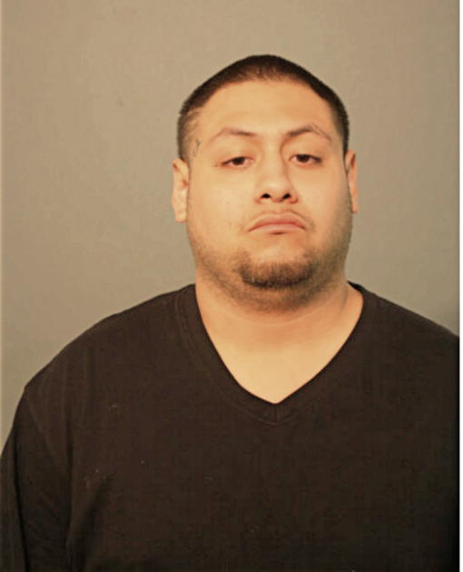 MAX GARCIA, Cook County, Illinois
