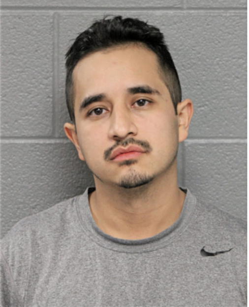 MICHAEL A HERNANDEZ, Cook County, Illinois