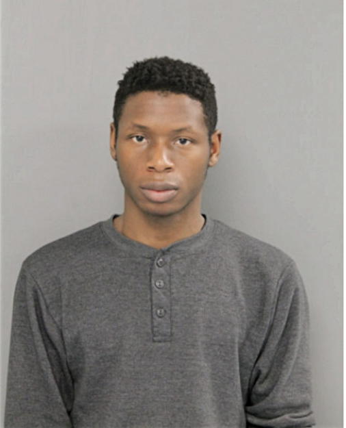 REGINALD HOLT, Cook County, Illinois