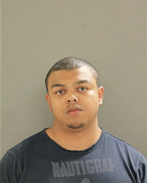 ALAN D JENKINS, Cook County, Illinois