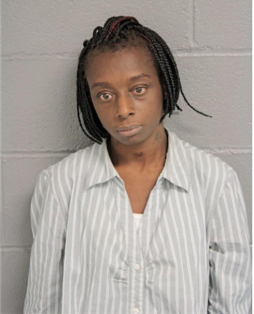 ERIKA C JONES, Cook County, Illinois