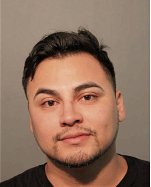 LUIS MENDES, Cook County, Illinois