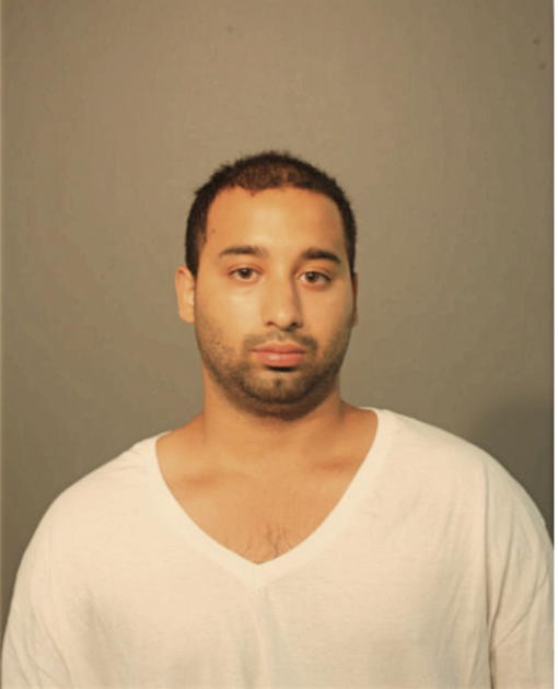 LUIS MONTE, Cook County, Illinois