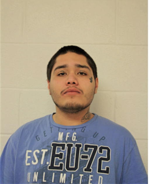 OSCAR D NAVA, Cook County, Illinois