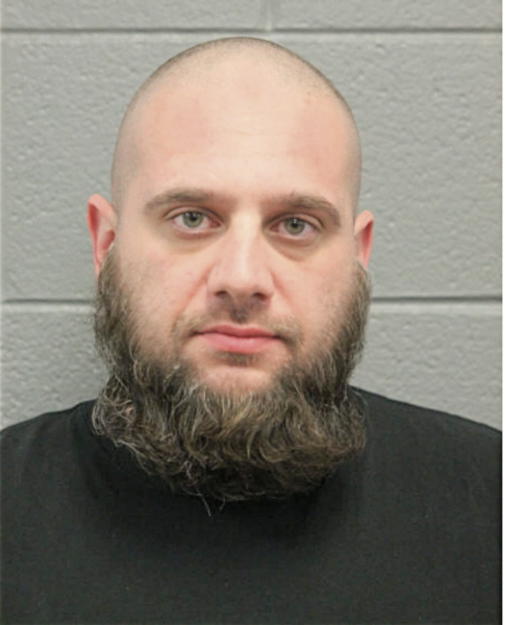 MICHAEL A PYRZYNSKI, Cook County, Illinois
