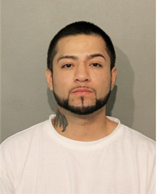 MICHAEL X RODRIGUEZ, Cook County, Illinois