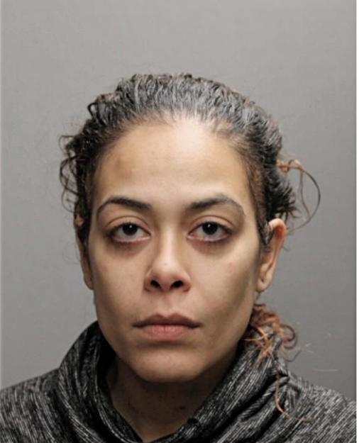 NILDA E RUIZ, Cook County, Illinois