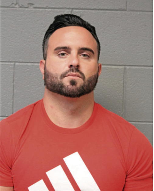 DOMINIC PAUL SISTO, Cook County, Illinois