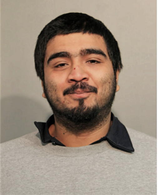 OSCAR TORRES-CARILLO, Cook County, Illinois