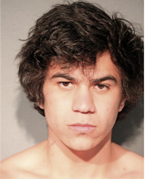 BRYAN N VELAZQUEZ, Cook County, Illinois