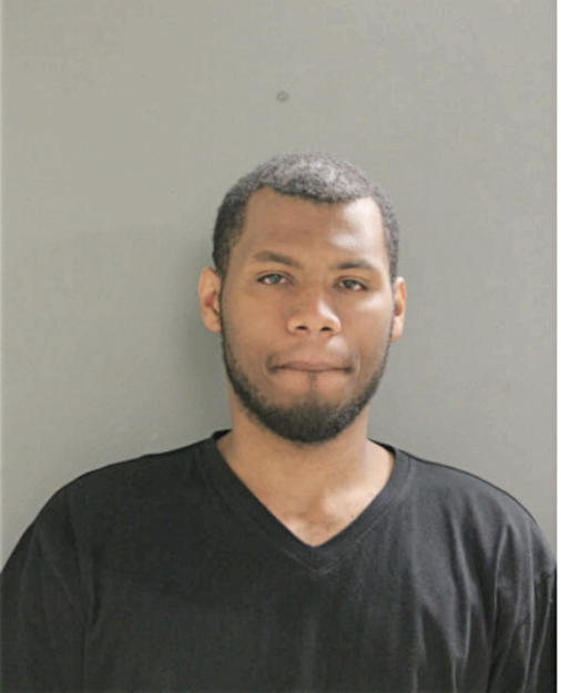 DEANDRE D WILLIAMS, Cook County, Illinois