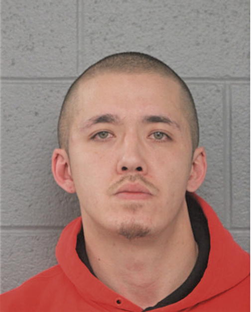 MATTHEW E WOODS, Cook County, Illinois