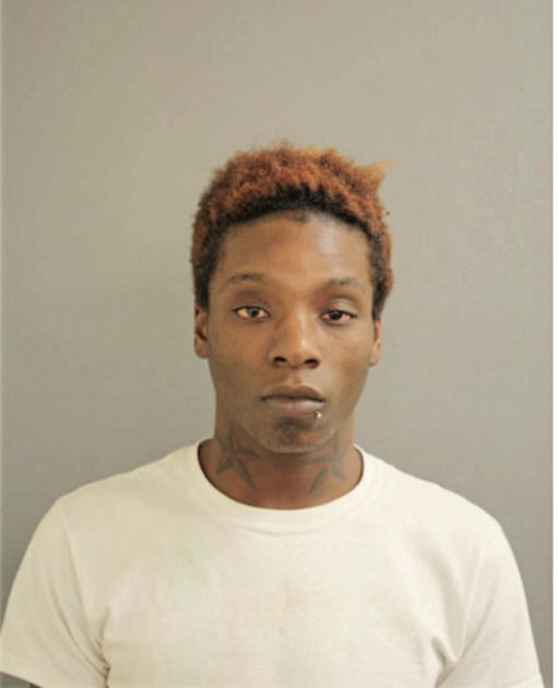 WILLIE E ANDERSON, Cook County, Illinois