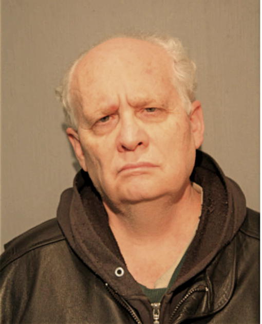 DION M BERLOWITZ, Cook County, Illinois