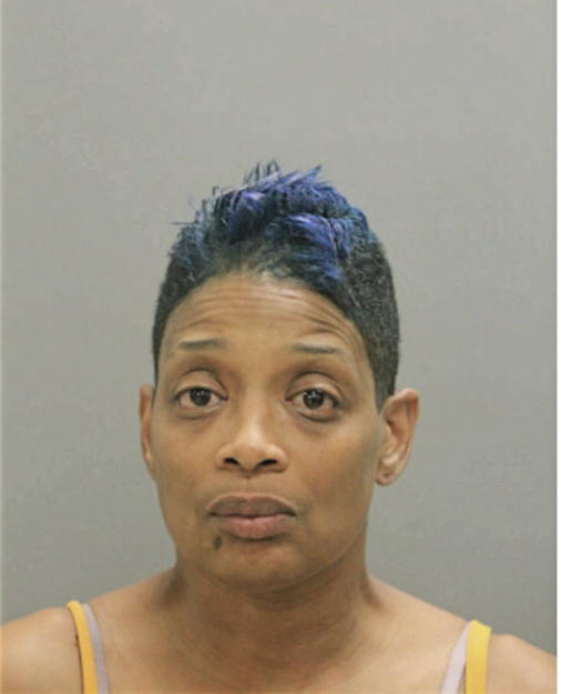 AKILA H BOWERS, Cook County, Illinois