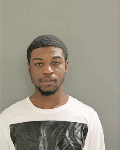 OTTIS I BRADLEY, Cook County, Illinois