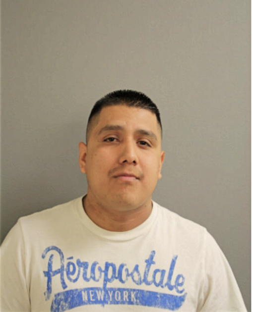 JOSE A CASTRO-CARRERA, Cook County, Illinois