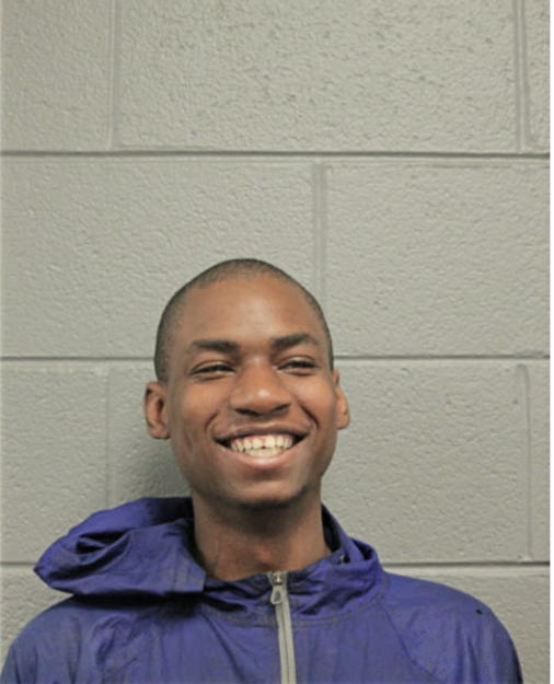 FALANDUS D DAVISON, Cook County, Illinois