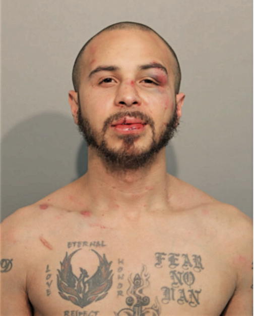 DANIEL S DIECKMANN, Cook County, Illinois