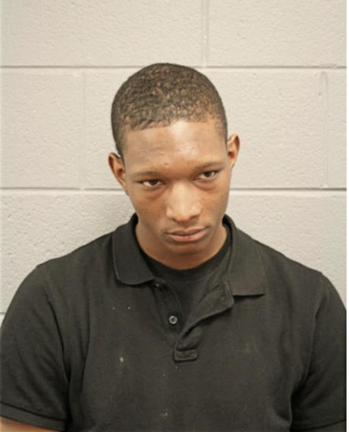 JANELL L FENDERSON, Cook County, Illinois