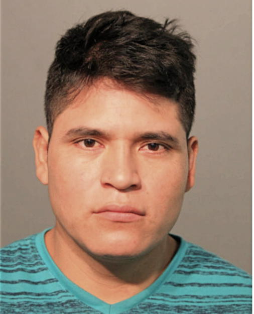 LUIS GUAMAN, Cook County, Illinois