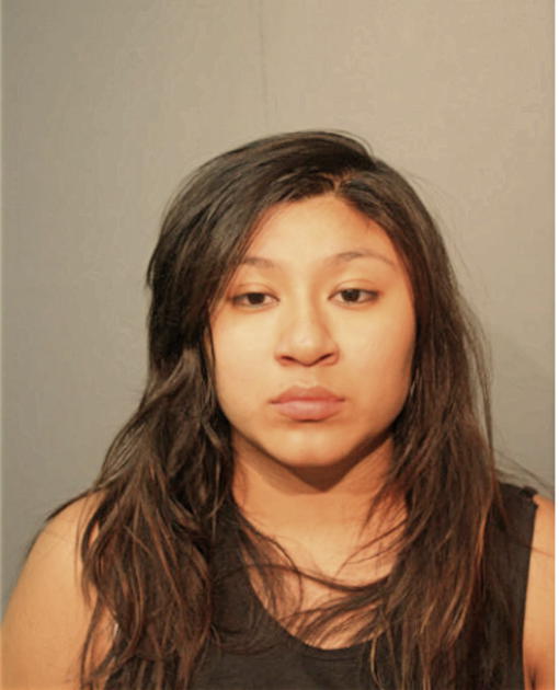 NANCY E HONORATO, Cook County, Illinois