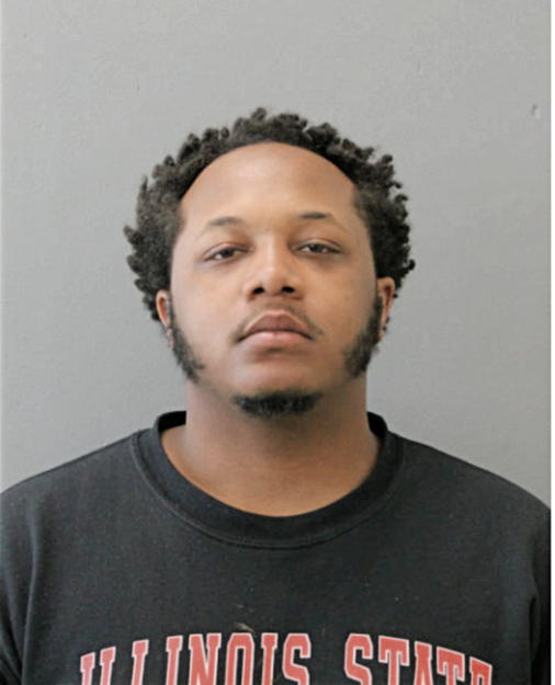 MICHAEL A HUDSON, Cook County, Illinois