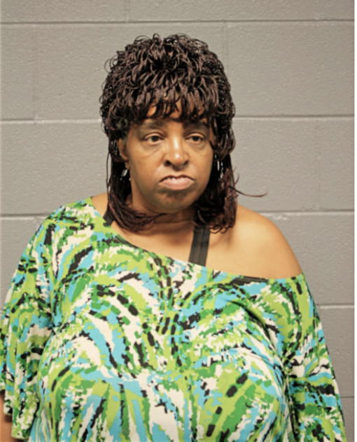 MARY L JOHNSON, Cook County, Illinois