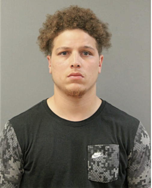 PIERRE D JOHNSON, Cook County, Illinois