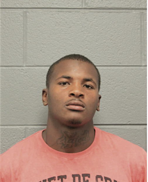 TERRENCE L JOHNSON, Cook County, Illinois
